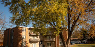 Aspen Village Gallery 17