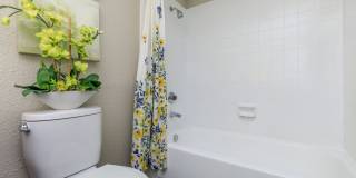 Nova Park Apartment Homes Gallery 19