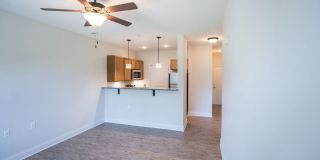 Davis Gardens Gallery 5