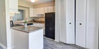 The Onyx at 3211 Gallery 3