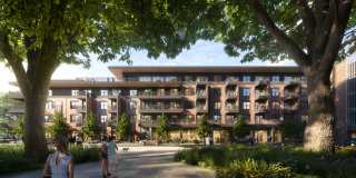 The Waylon Gallery 13