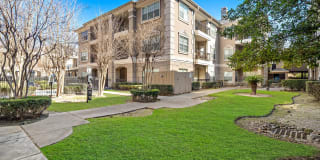 Rise at Elmside Gallery 20