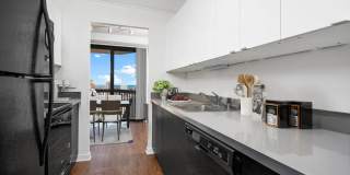 1133 North Dearborn Gallery 17