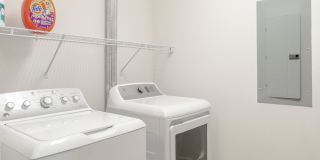 Emblem at Christiana Gallery 17