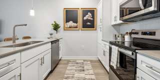 The Stella Gallery 3