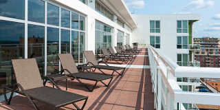 Ovation 309 Gallery 32