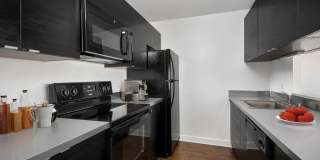 1133 North Dearborn Gallery 13