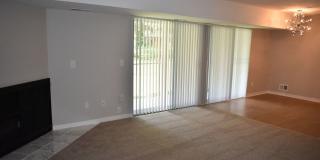 The Lake Shore Apartments Gallery 67