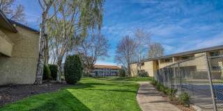 PepperTree Village Gallery 28