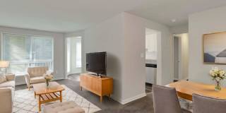 The Centre at Silver Spring Gallery 21