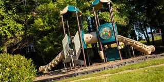 Abbotts Creek Gallery 54