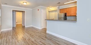 Village East Gallery 25
