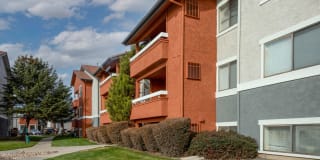 Shadowbrook Gallery 29