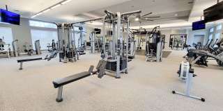 Prairie Winds Gallery 18