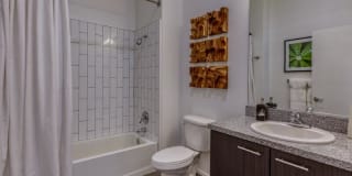 Agave 350 Gallery 15