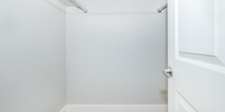 The Carlson Gallery 21