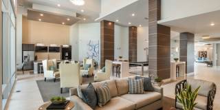 The Tiffany At Maitland West Gallery 16