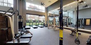 5151 5151 Gallery 22