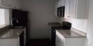 Cedar Glen Gallery 1