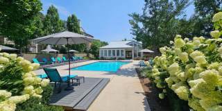 The Willows Gallery 4