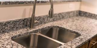 Davis Gardens Gallery 6