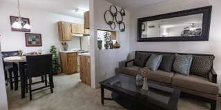 Crest Oasis Gallery 29