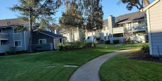 Cedar Glen Gallery 10