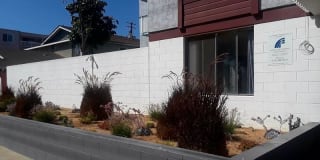 Newport Plaza Gallery 6