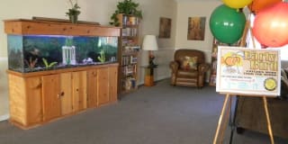 Tropicana Village Gallery 3