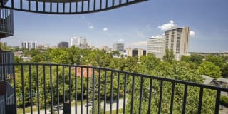 Mansion House Gallery 11