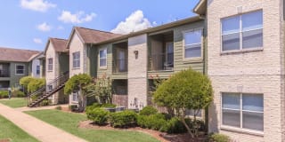 The Avenue Gallery 11