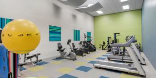 Autumn Chase Gallery 11