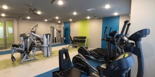 404 Border Gallery 7