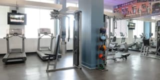 415 Premier Evanston Gallery 18