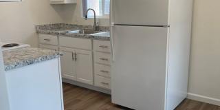 Pine Tree Apartments Gallery 1