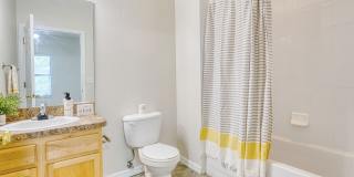 Silver Springs Gallery 9