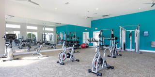 Luxe at Katy Gallery 66