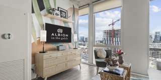 Albion in the Gulch Gallery 41