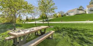 Falcon Falls Gallery 28