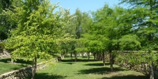 Spicewood Crossing Gallery 15