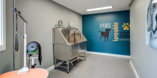 Elan 41 Gallery 15