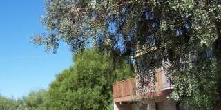 Mountain Plaza Gallery 16