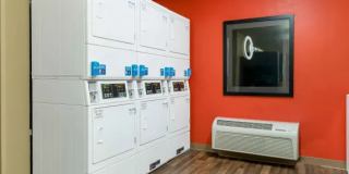 Detroit - Canton Gallery 5