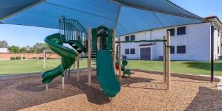 Agave on 83rd Gallery 19