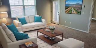 Timber Cove Gallery 1
