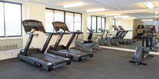 Harrison Somerset Gallery 8