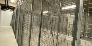 Red Oak at 409 Elm Street Gallery 21