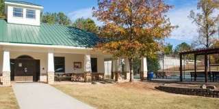 Dresden Forest Gallery 8