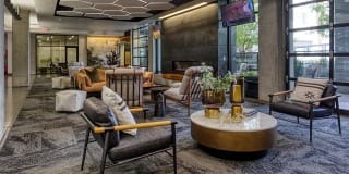 Agave 350 Gallery 20