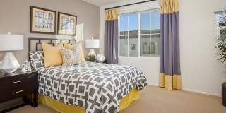 The Paseos at Montclair Gallery 6